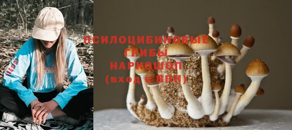 COCAINE Корсаков
